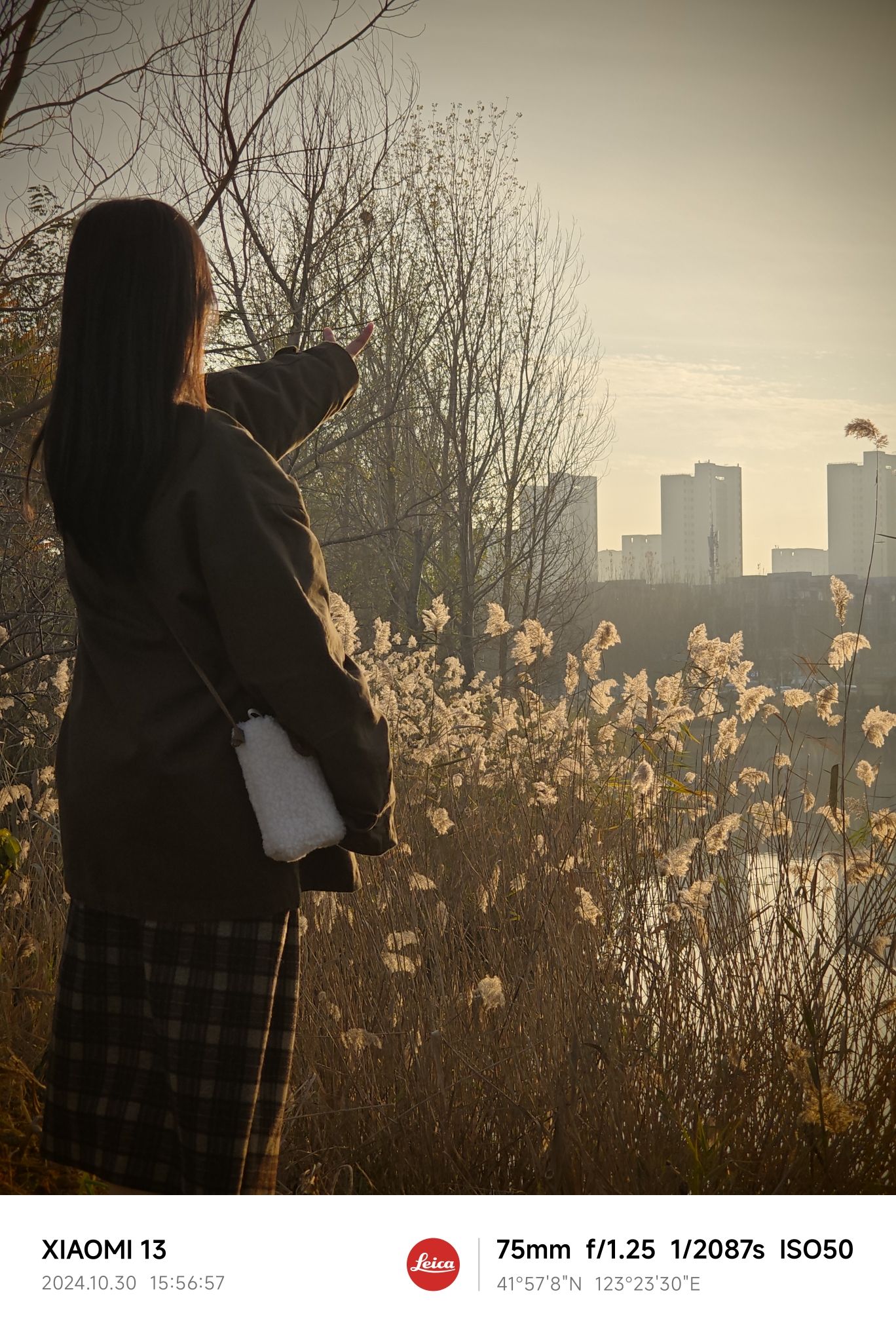 花海公园旅行图片 3