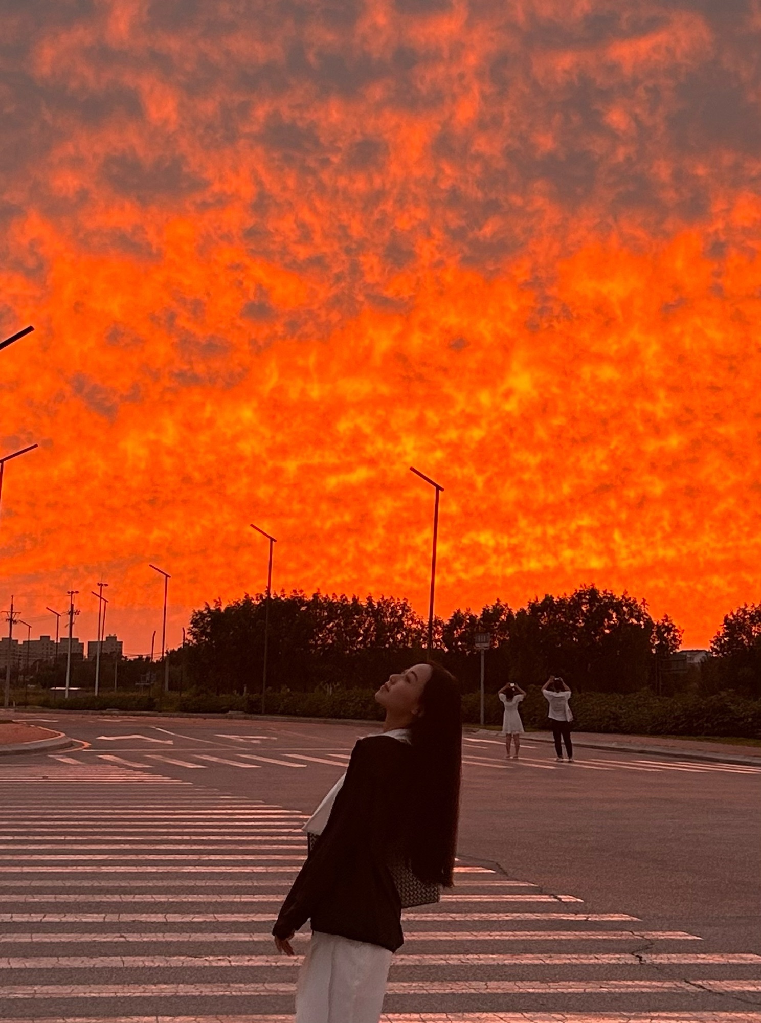 花海公园旅行图片 1