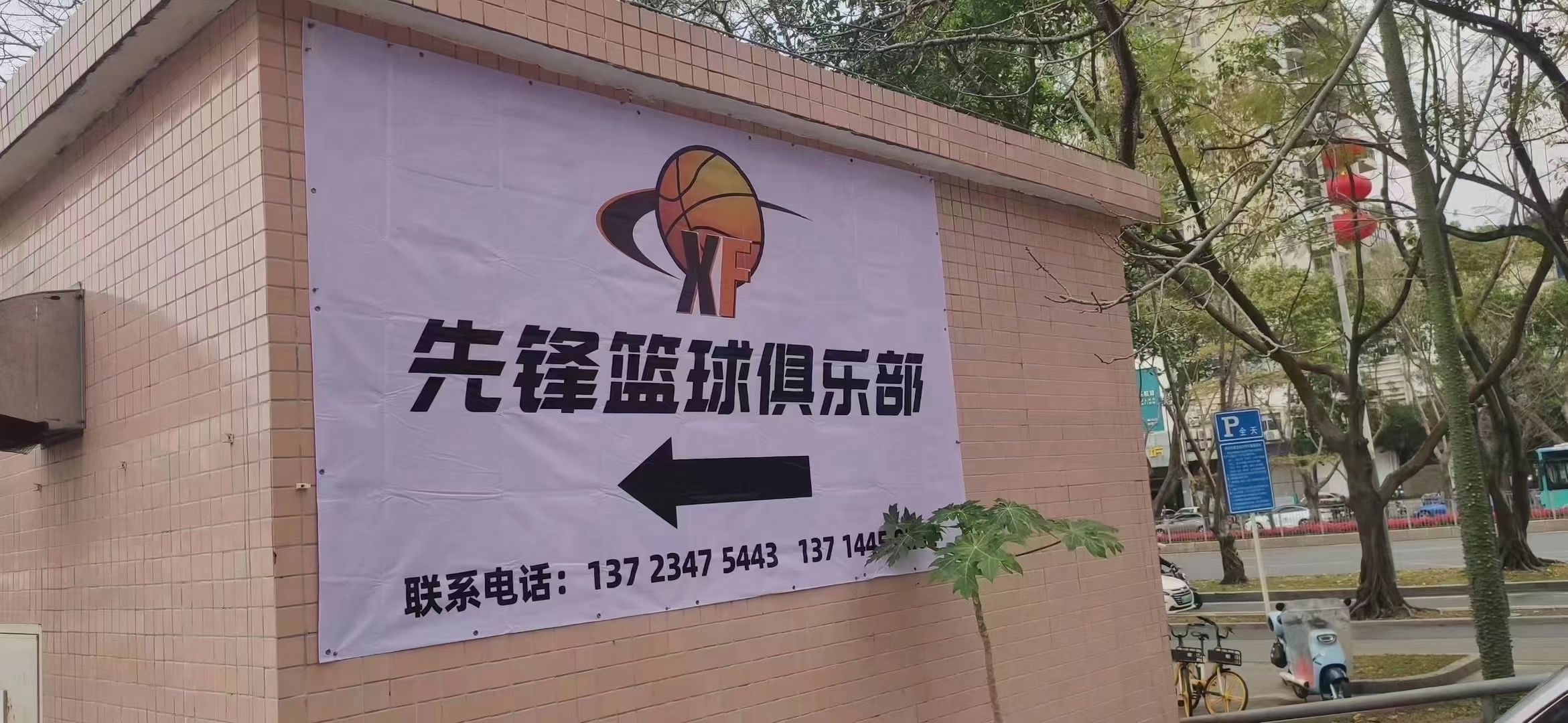 场地封面-先锋篮球俱乐部