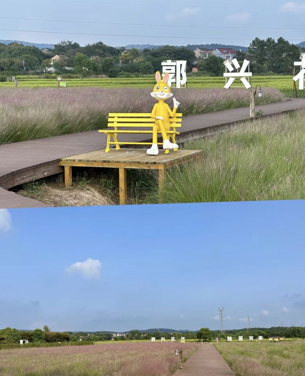 郭兴庄园旅行图片 3