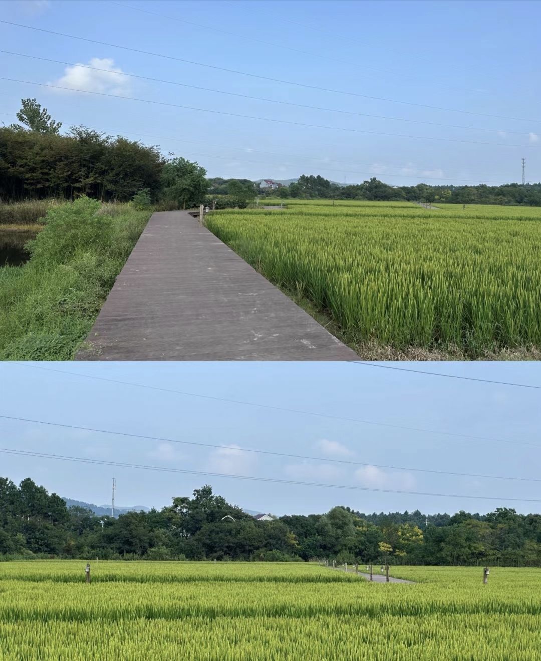 郭兴庄园旅行图片 2