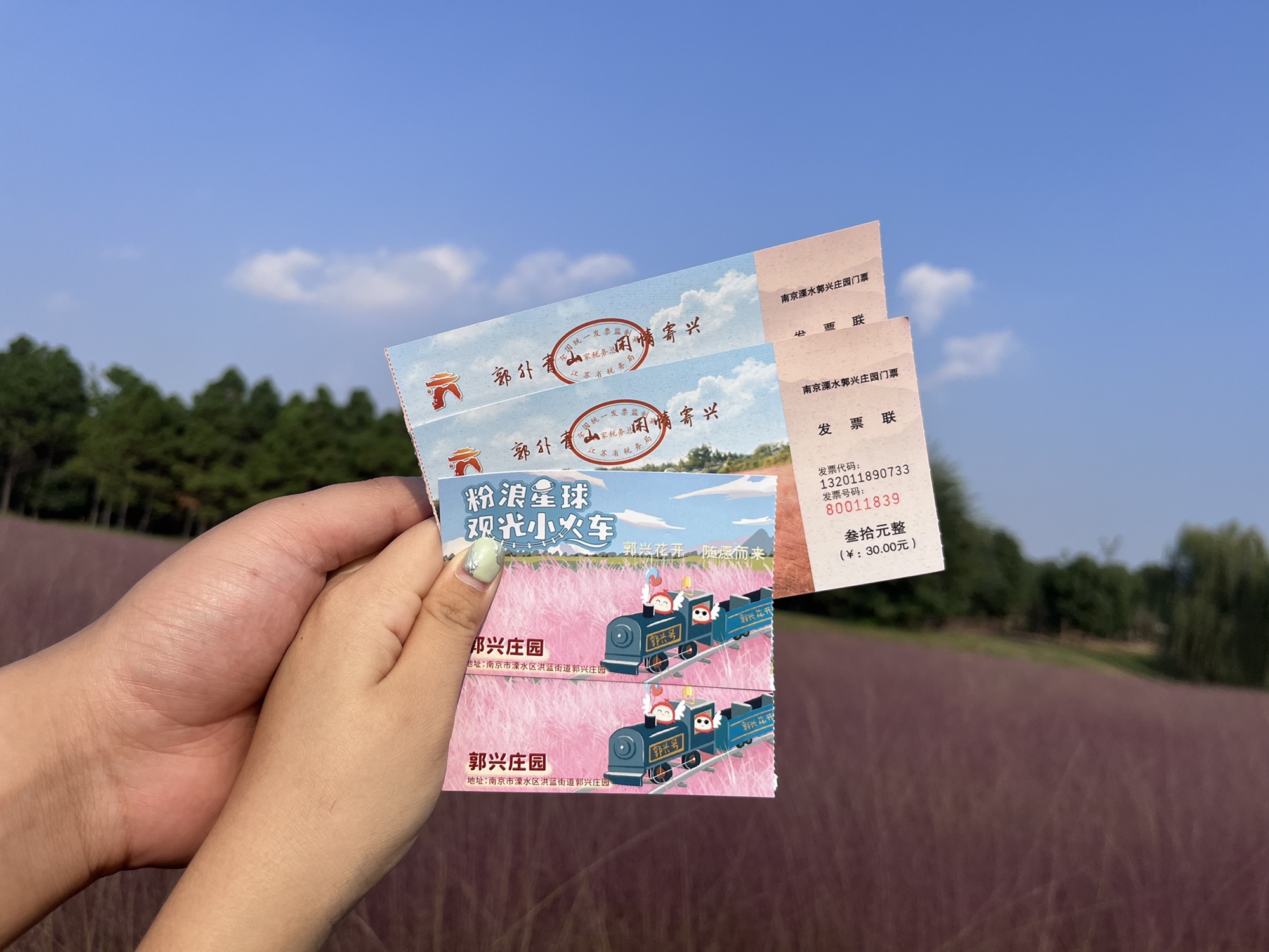 郭兴庄园旅行图片 2