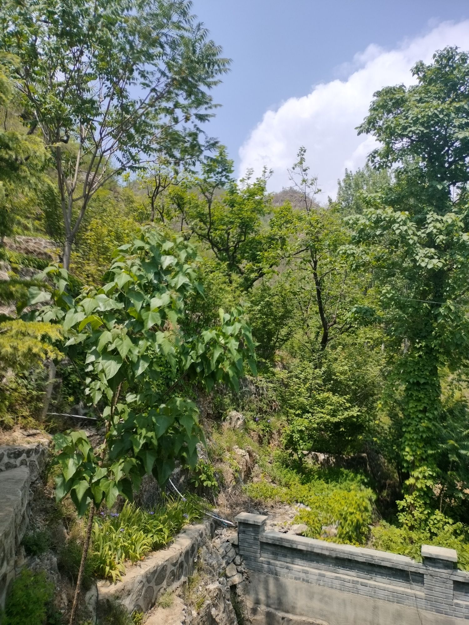 享水溪旅游度假区(暂停开放)旅行图片 1