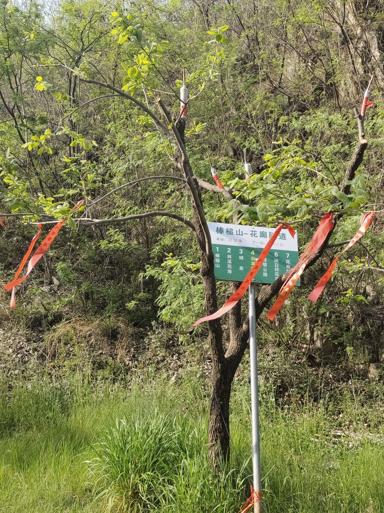 享水溪旅游度假区(暂停开放)旅行图片 1