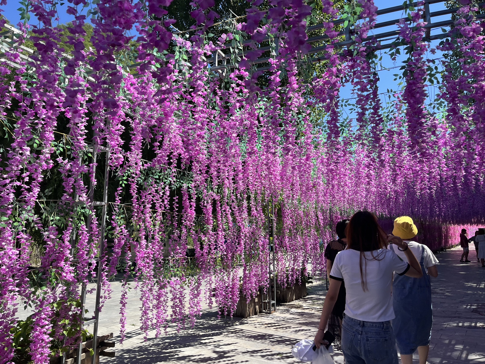 享水溪旅游度假区(暂停开放)旅行图片 2