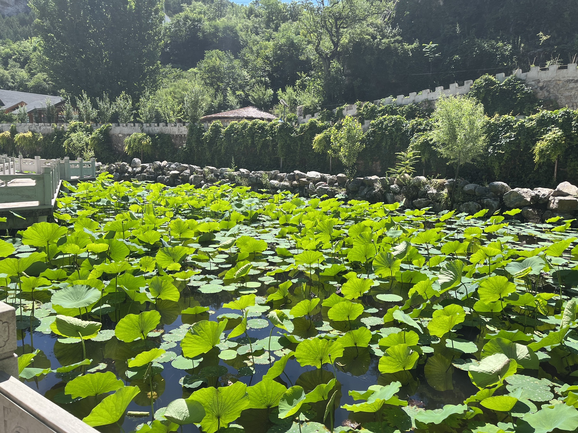 享水溪旅游度假区(暂停开放)旅行图片 3