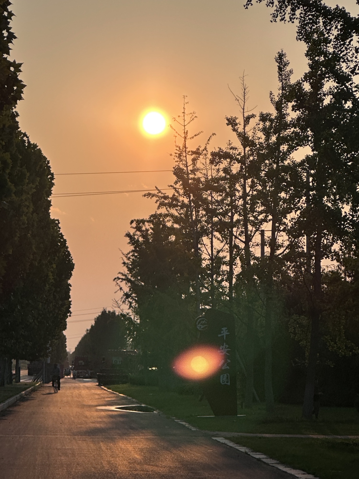 肥义公园旅行图片 2