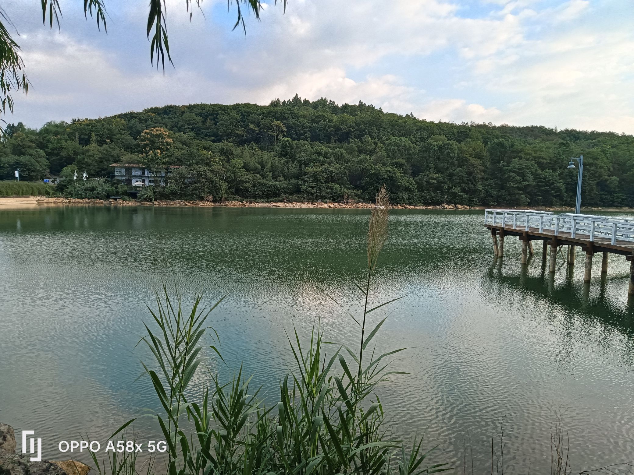 云溪谷生态园(暂停开放)旅行图片 3