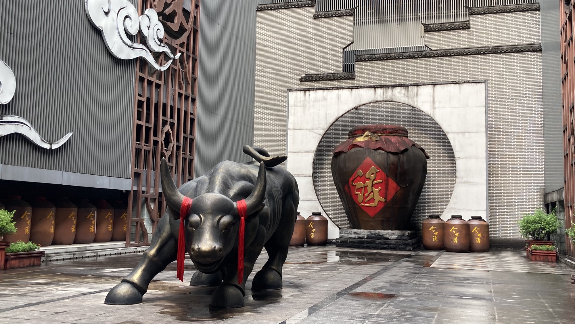 今世缘旅游景区旅行图片 2