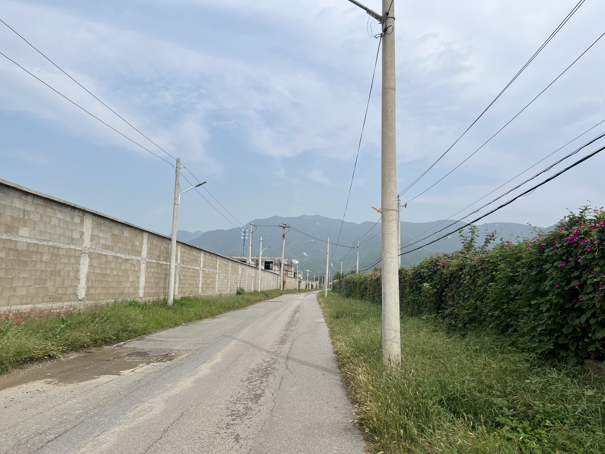 恭亲王墓旅行图片 1