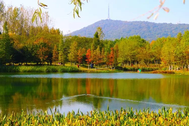 合肥北雁湖生态公园旅行图片 1