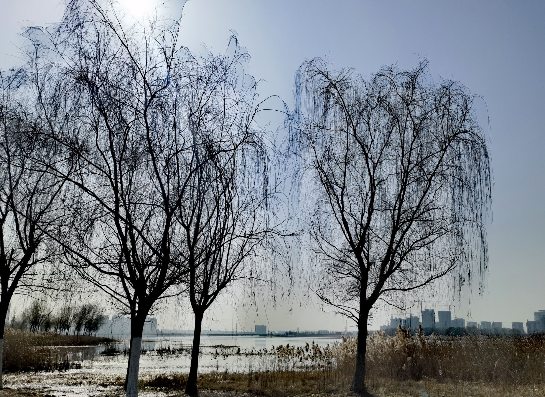 合肥北雁湖生态公园旅行图片 3