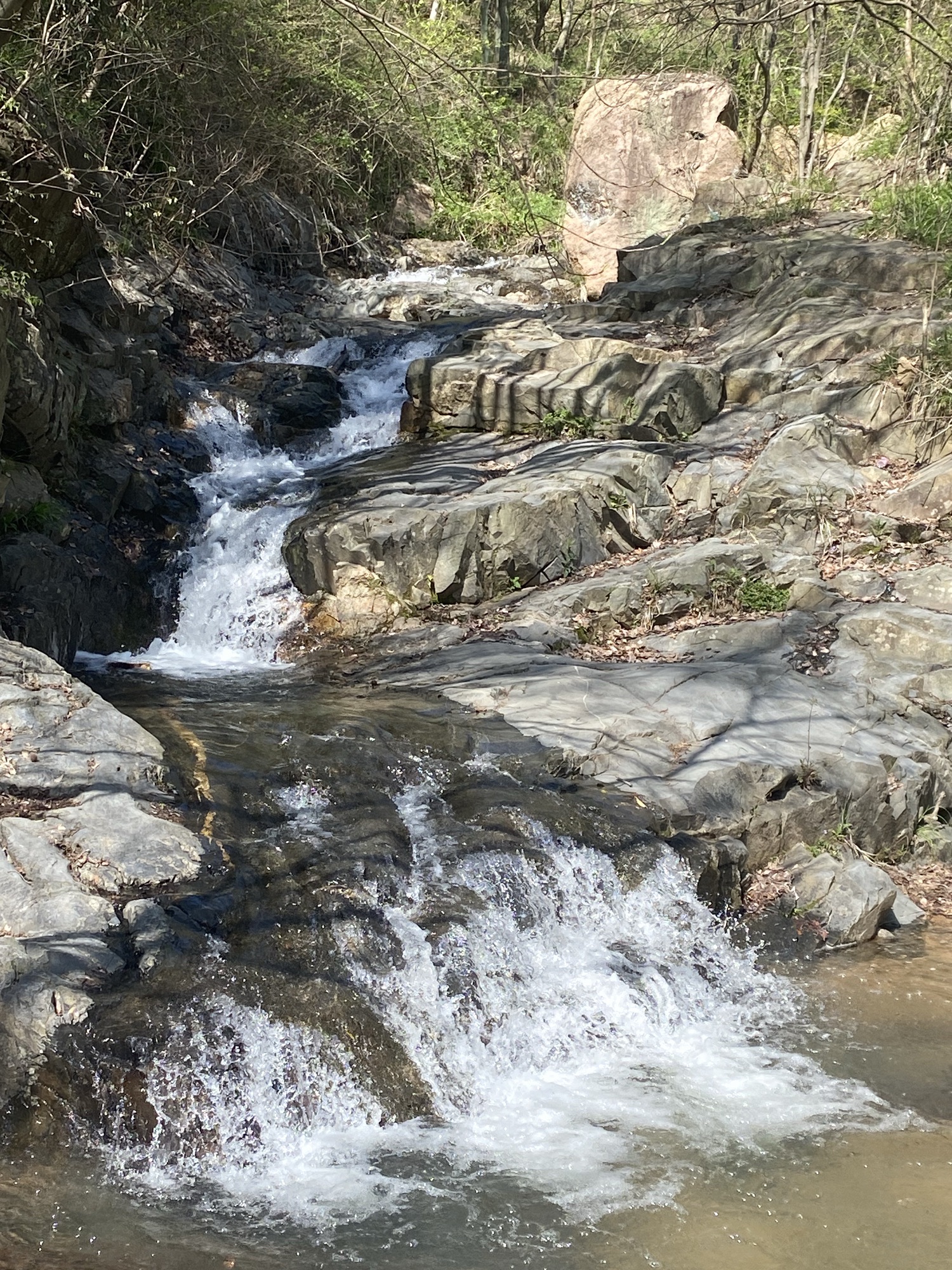 龙湫池景区旅行图片 1