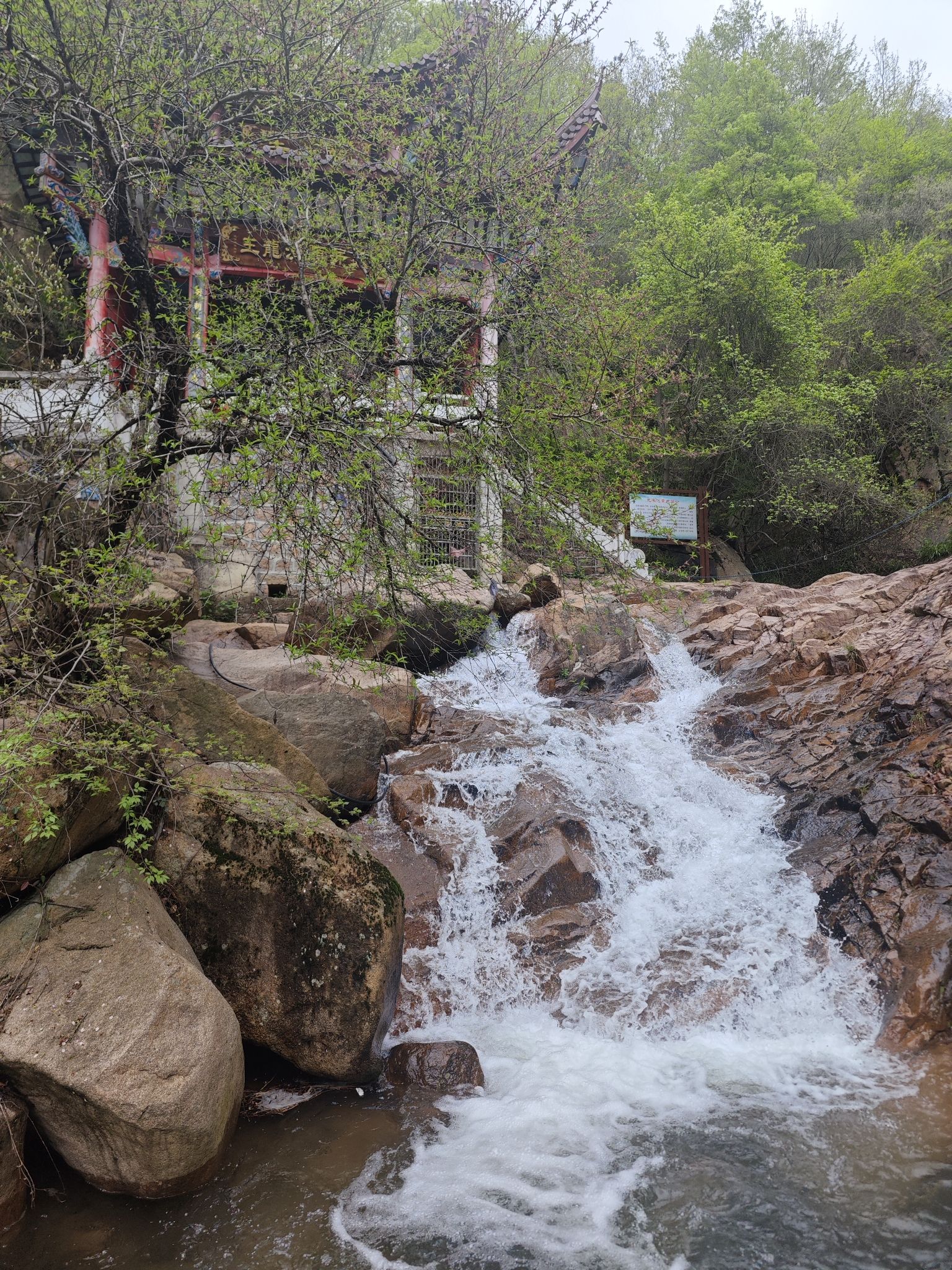 龙湫池景区旅行图片 2