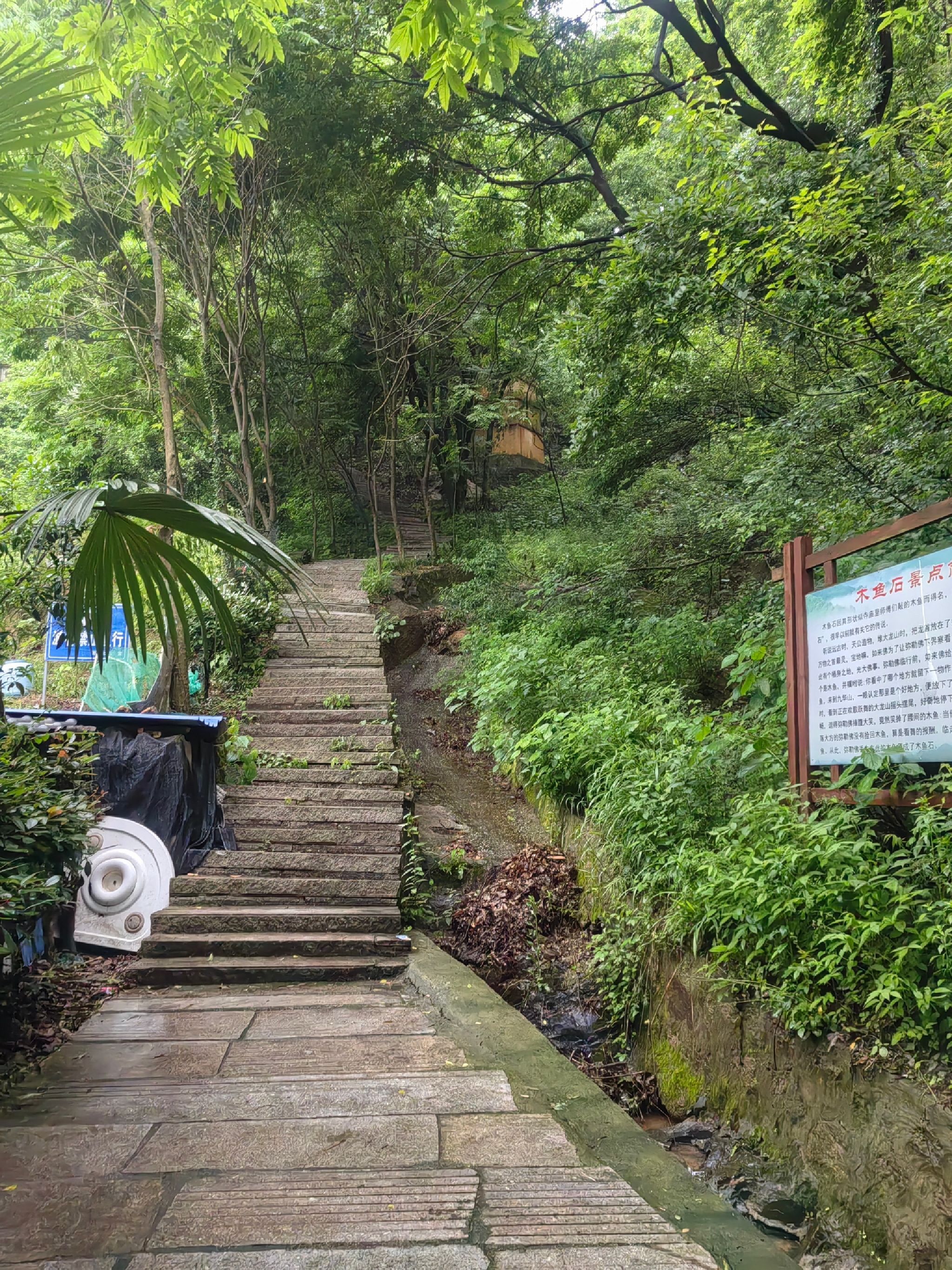 龙湫池景区旅行图片 1