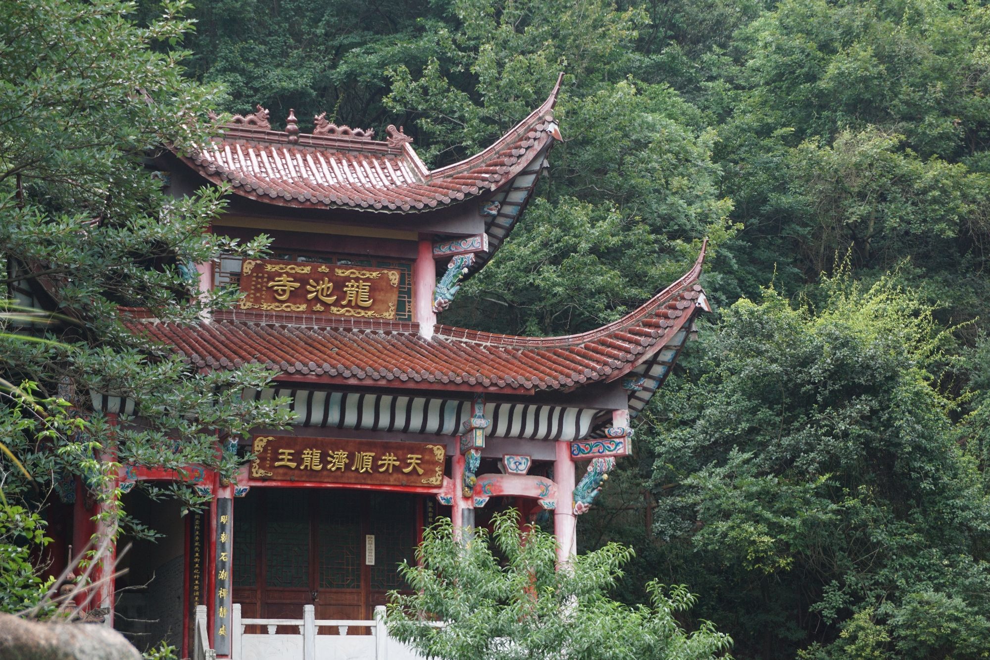 龙湫池景区旅行图片 1