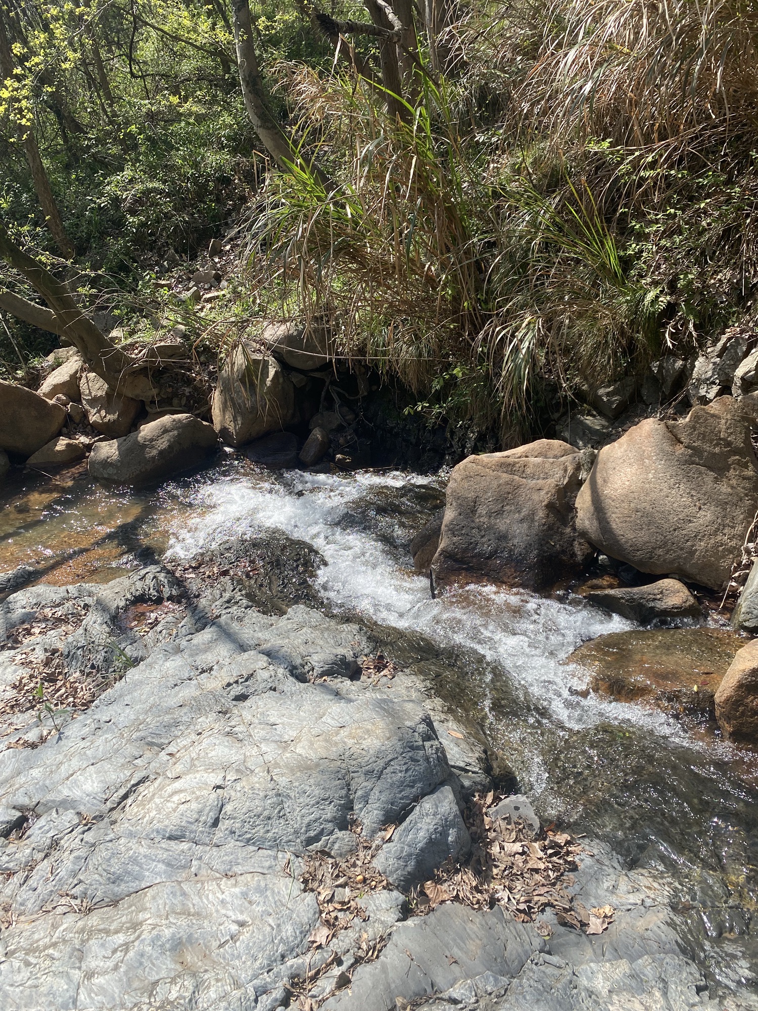 龙湫池景区旅行图片 3