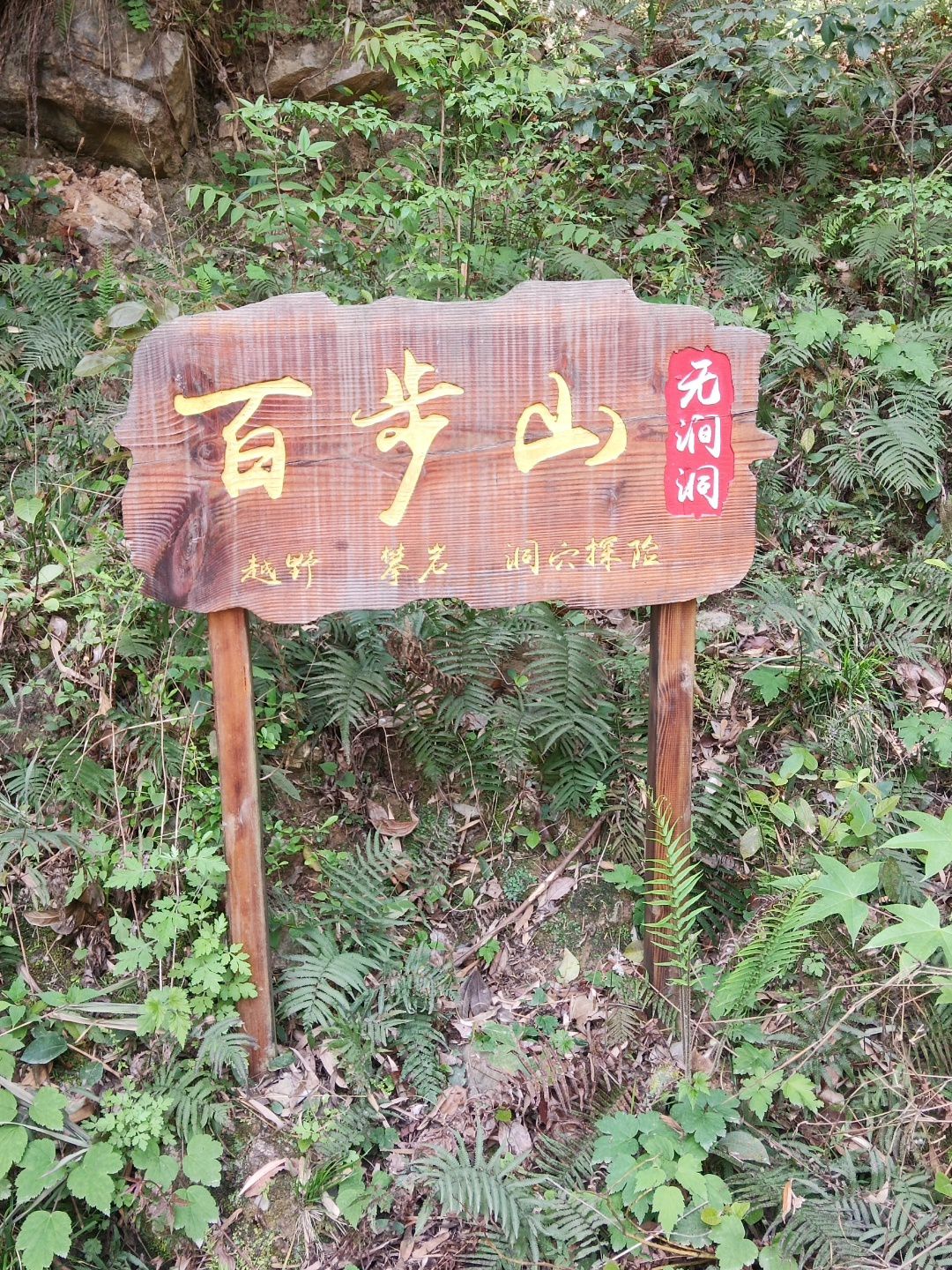 百步山旅行图片 1