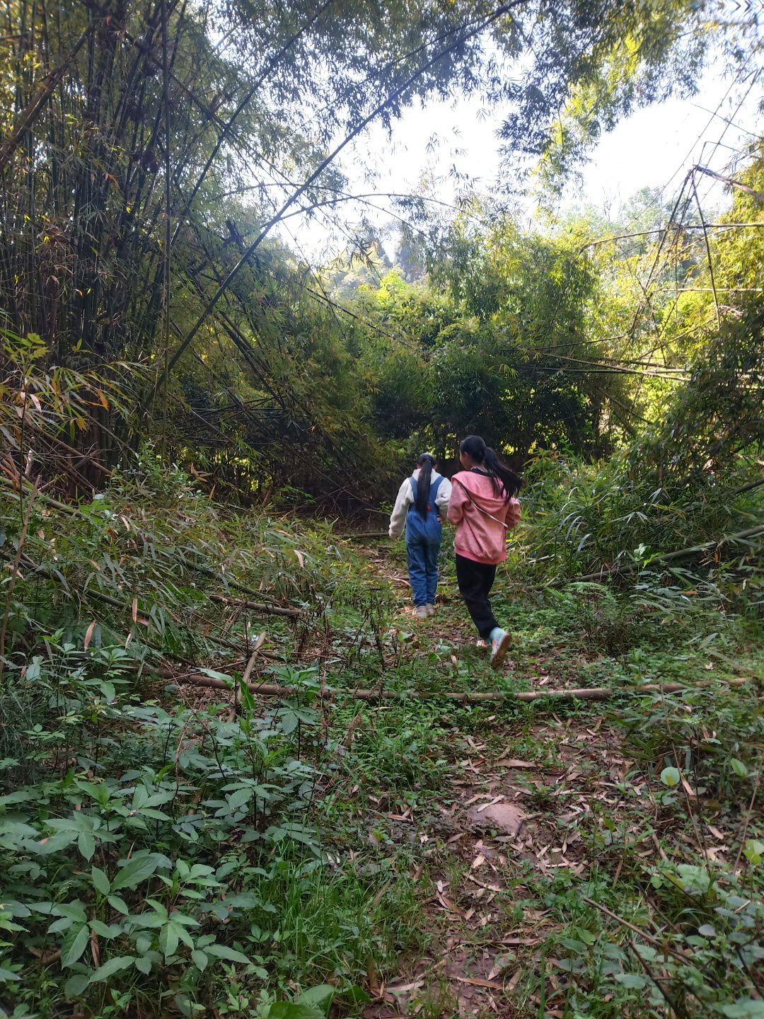 百步山旅行图片 2