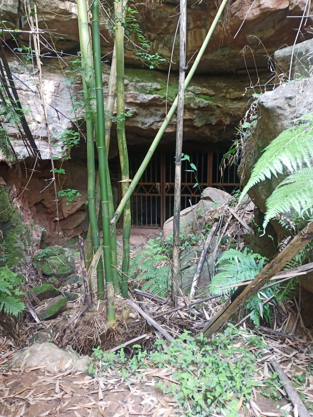 百步山旅行图片 3