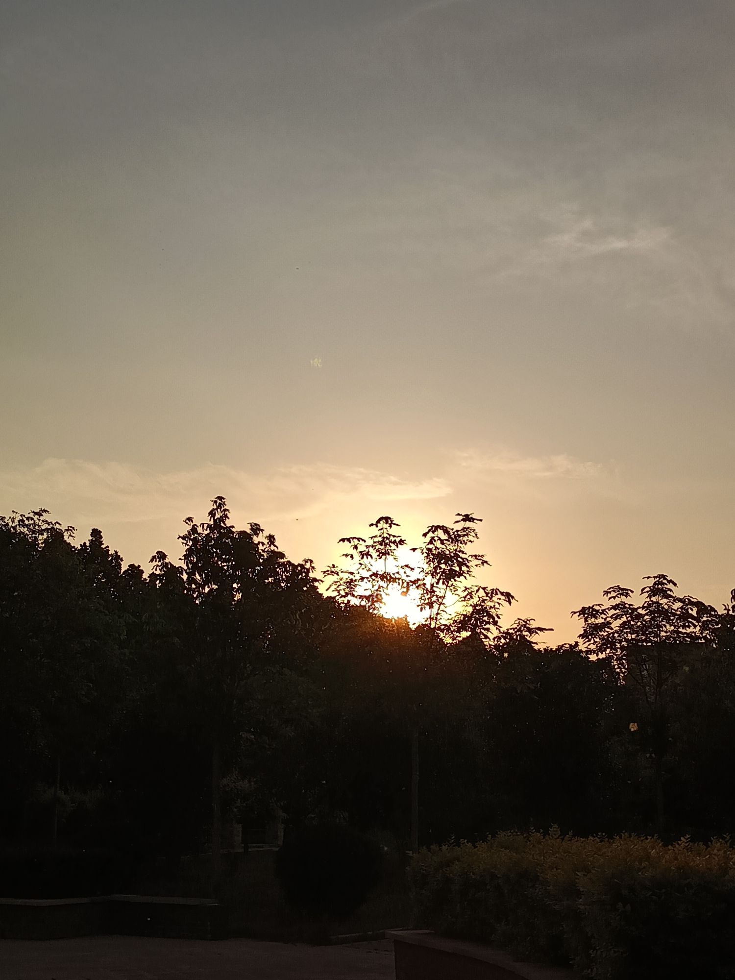 登封市文化公园旅行图片 1