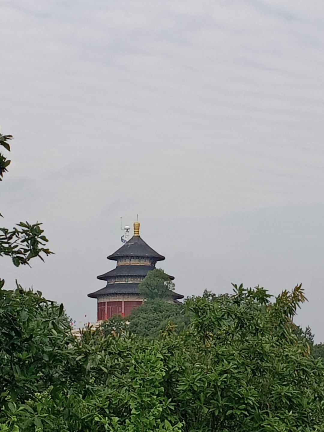 大慈弥勒院旅行图片 3