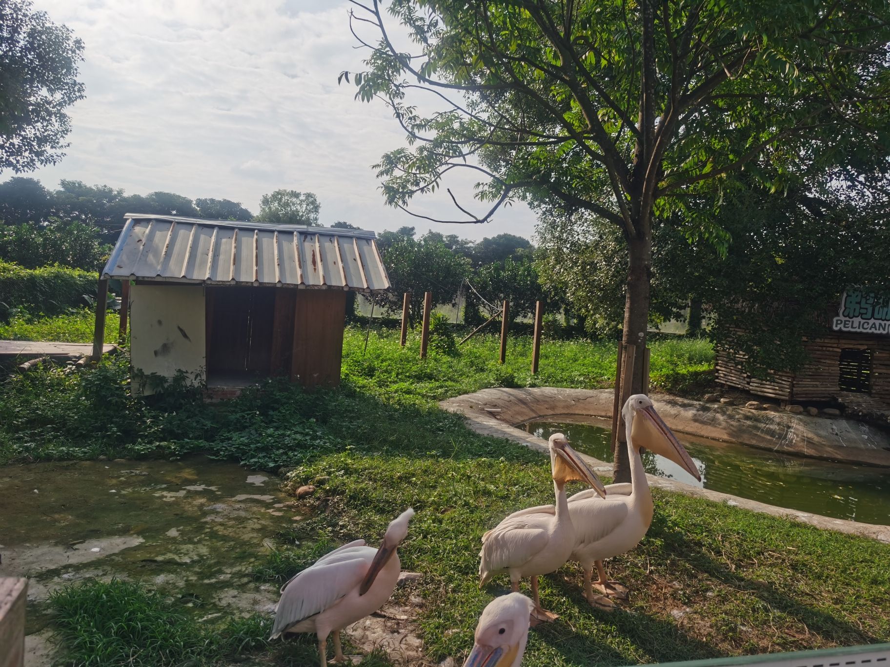 平南雄森动物大世界旅行图片 1