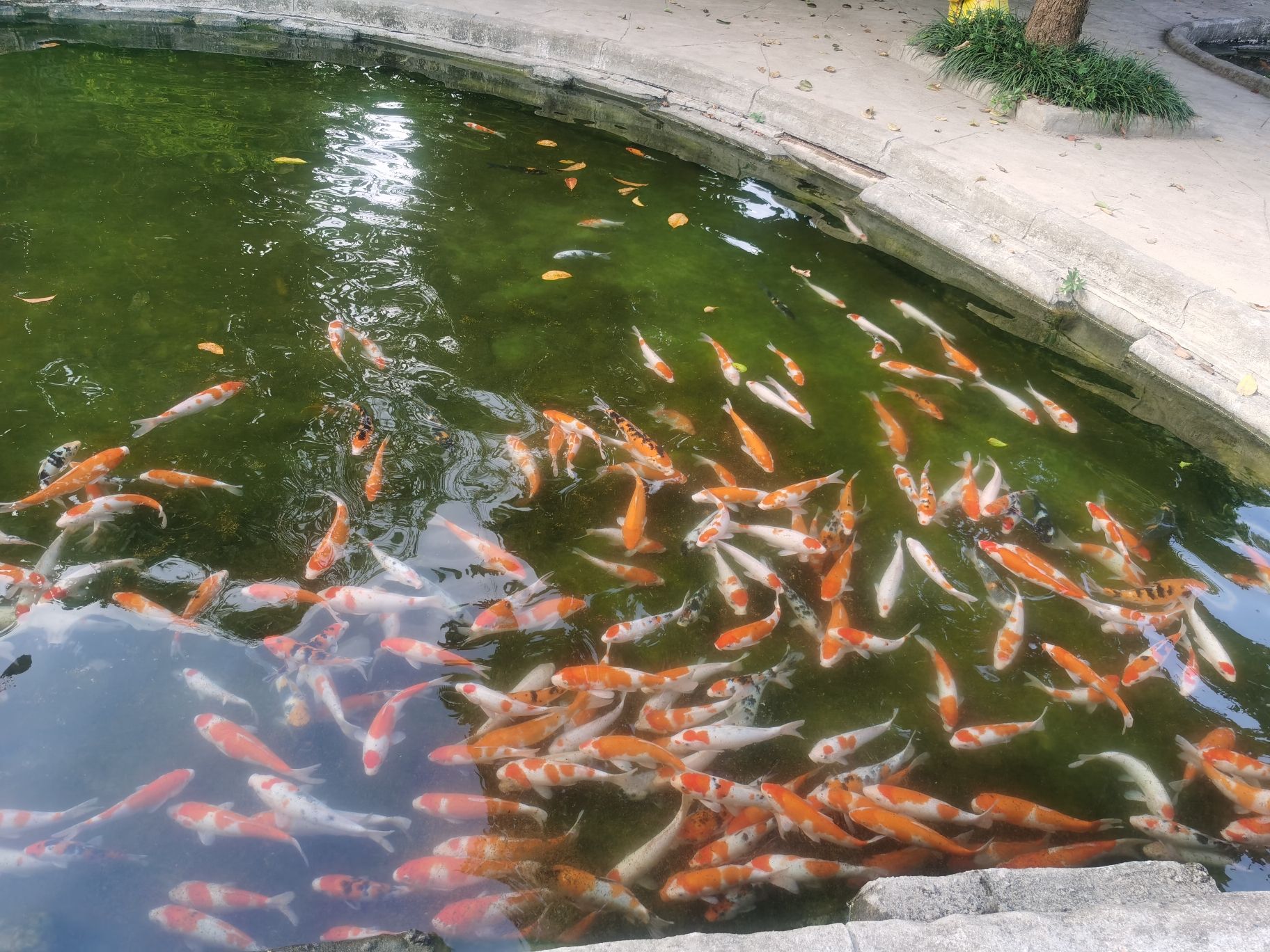 平南雄森动物大世界旅行图片 2
