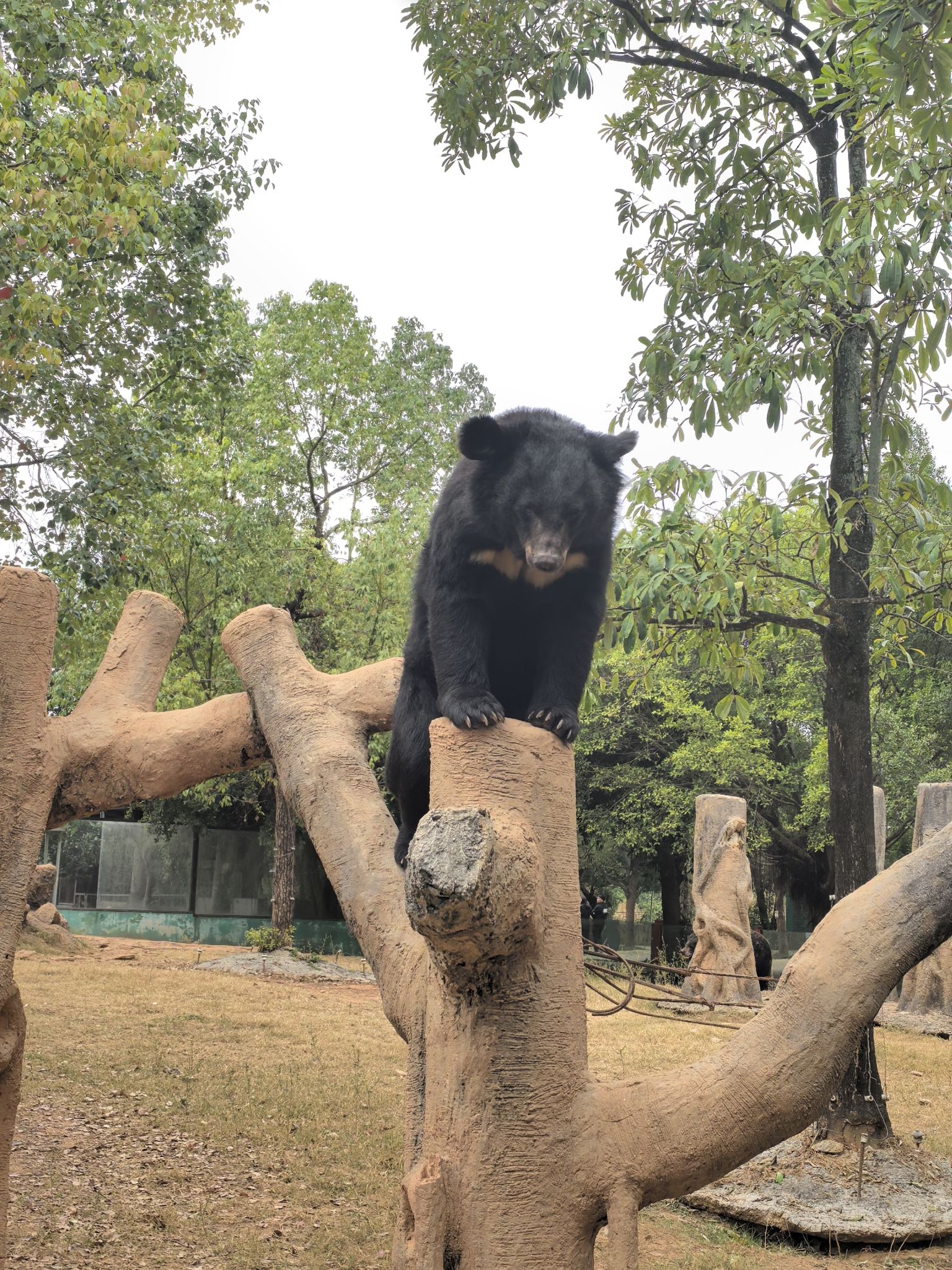 平南雄森动物大世界旅行图片 2