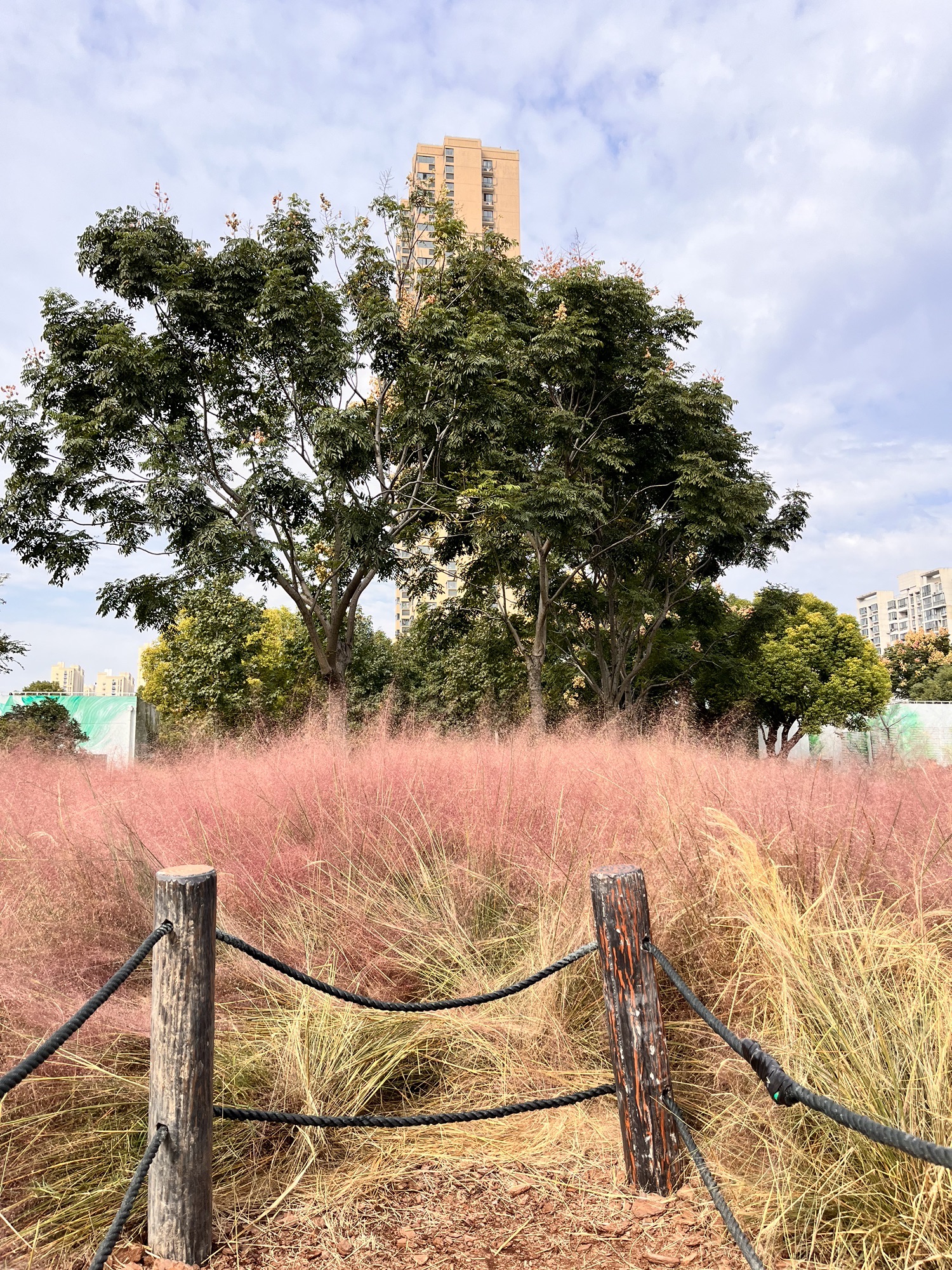 彩虹湾公园旅行图片 1