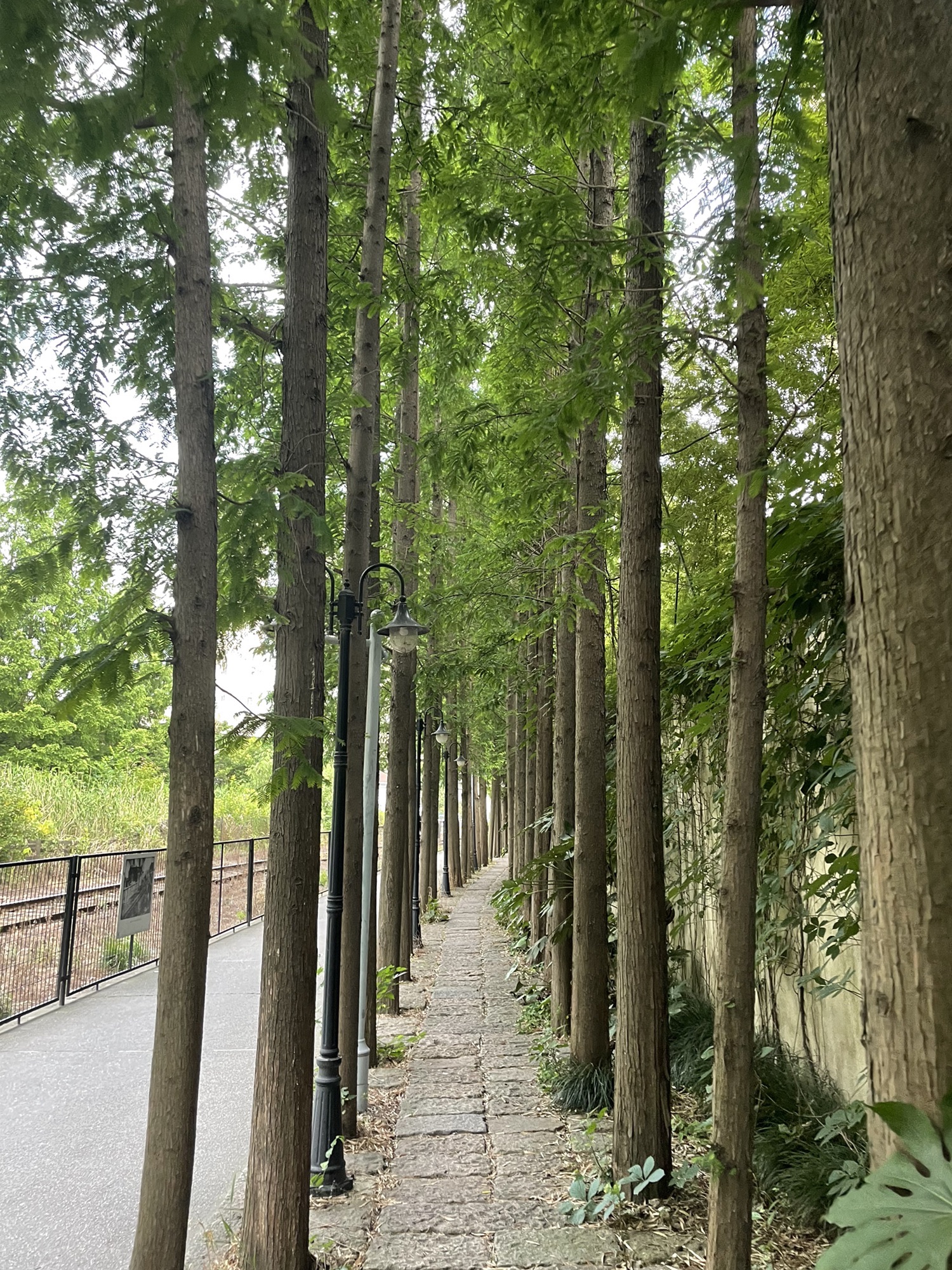 彩虹湾公园旅行图片 3