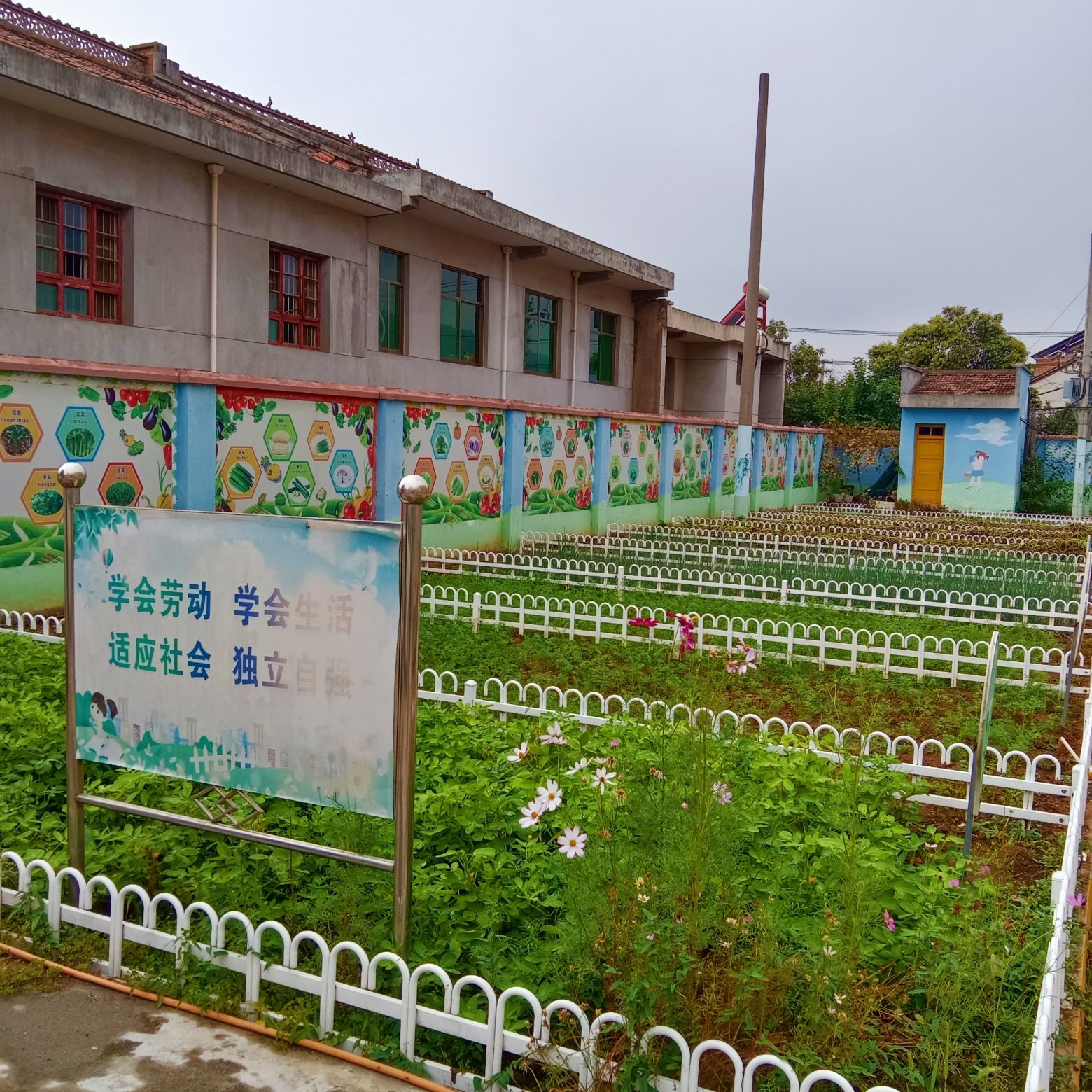 宝鸡市陈仓区特殊教育学校