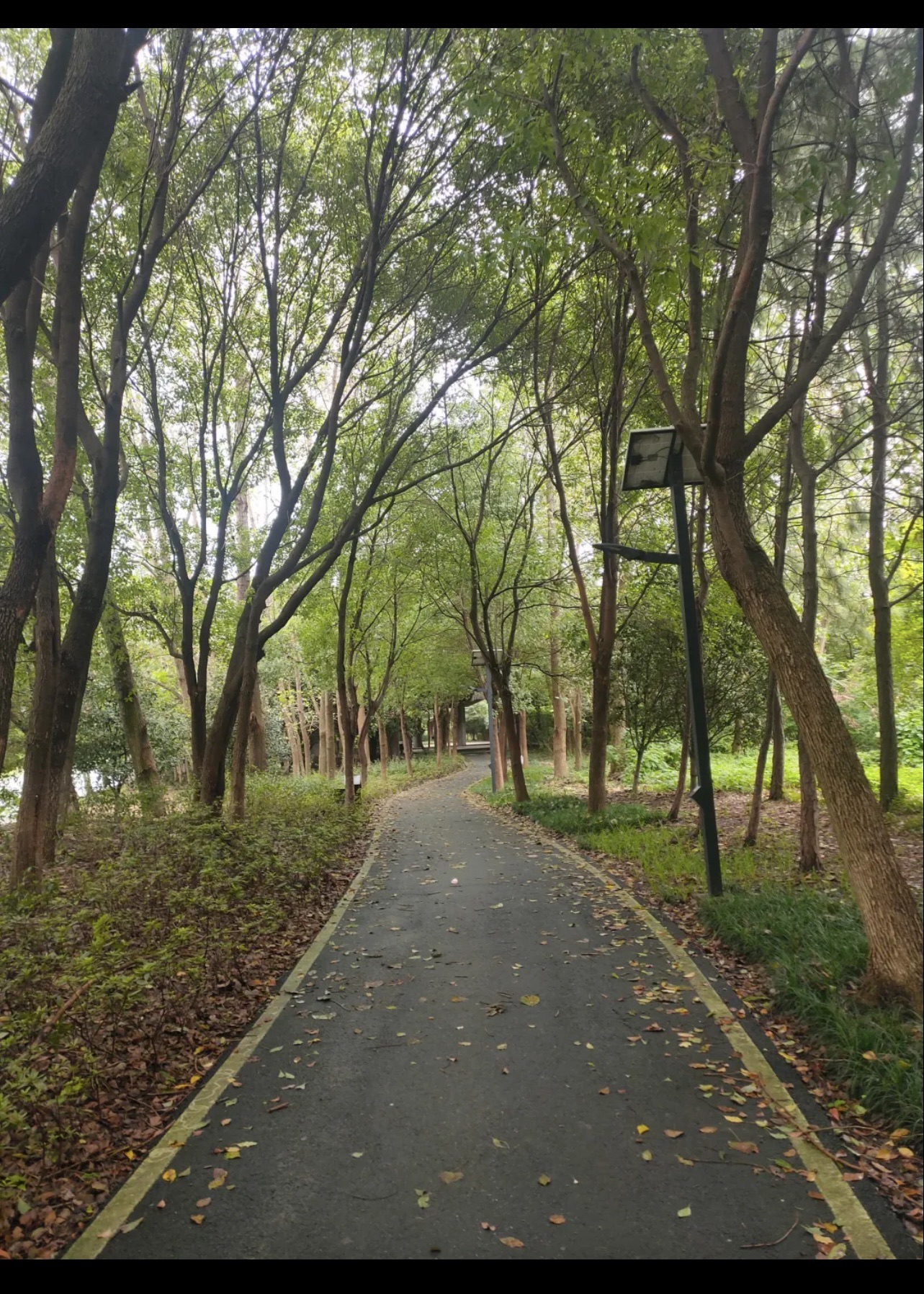 百亩花田旅行图片 1
