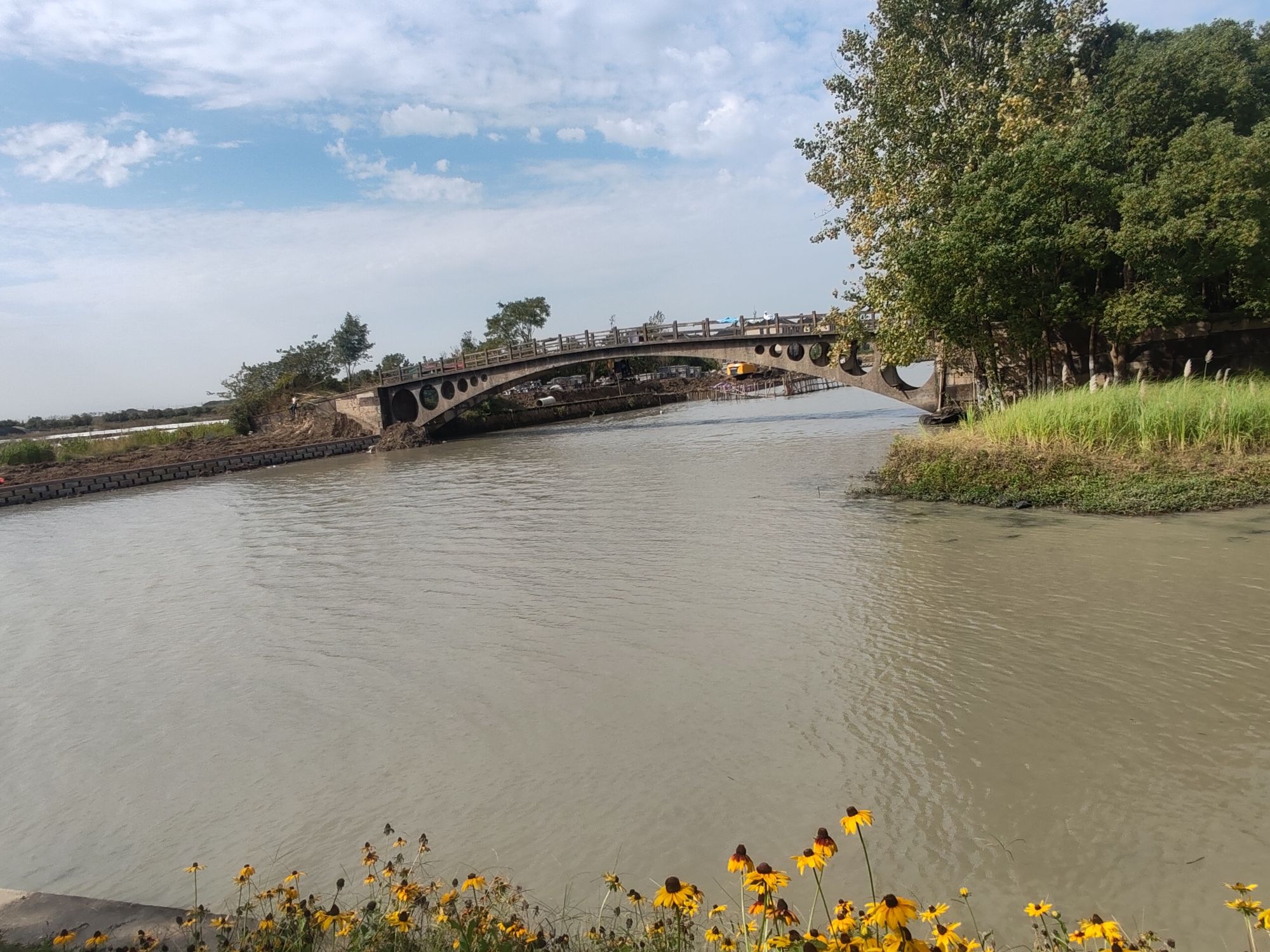 百亩花田旅行图片 2