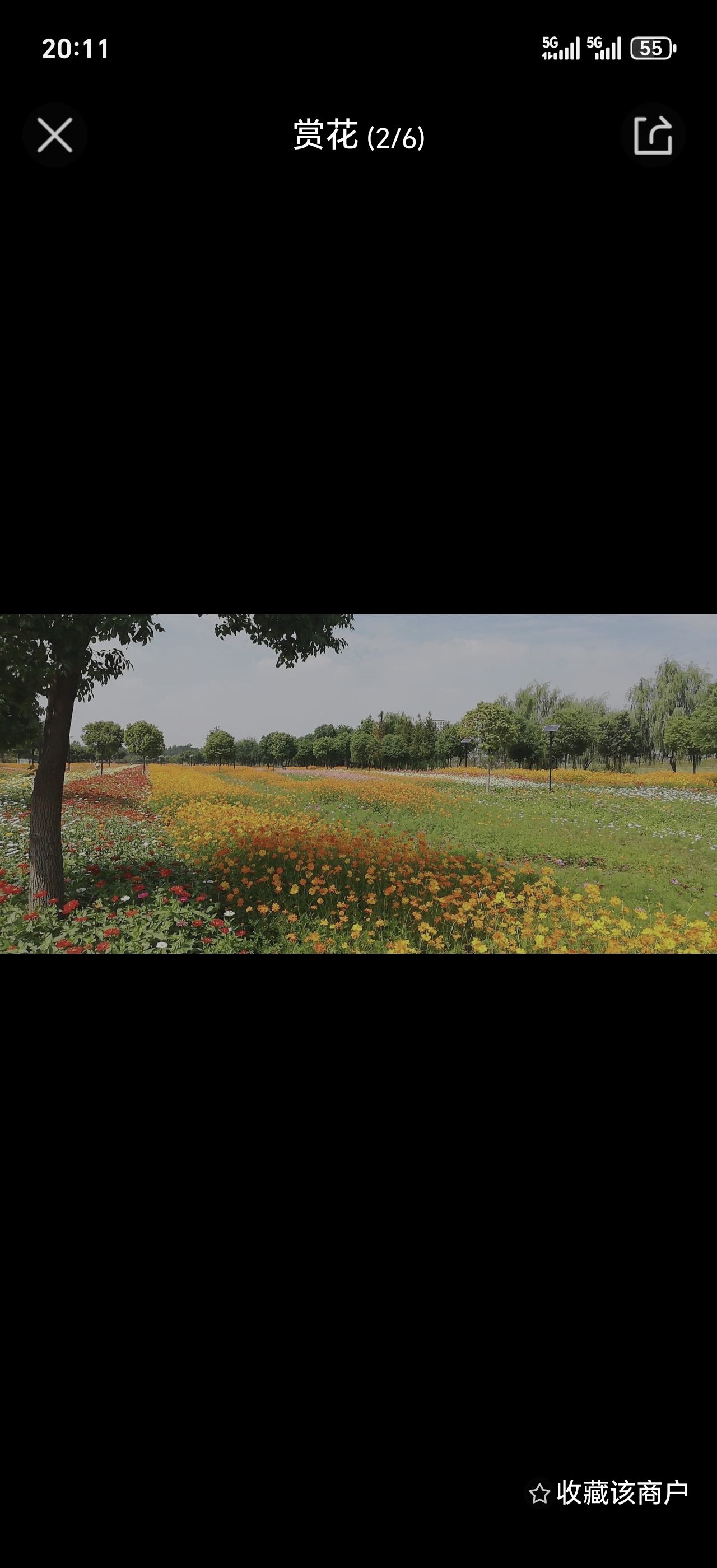 百亩花田旅行图片 2