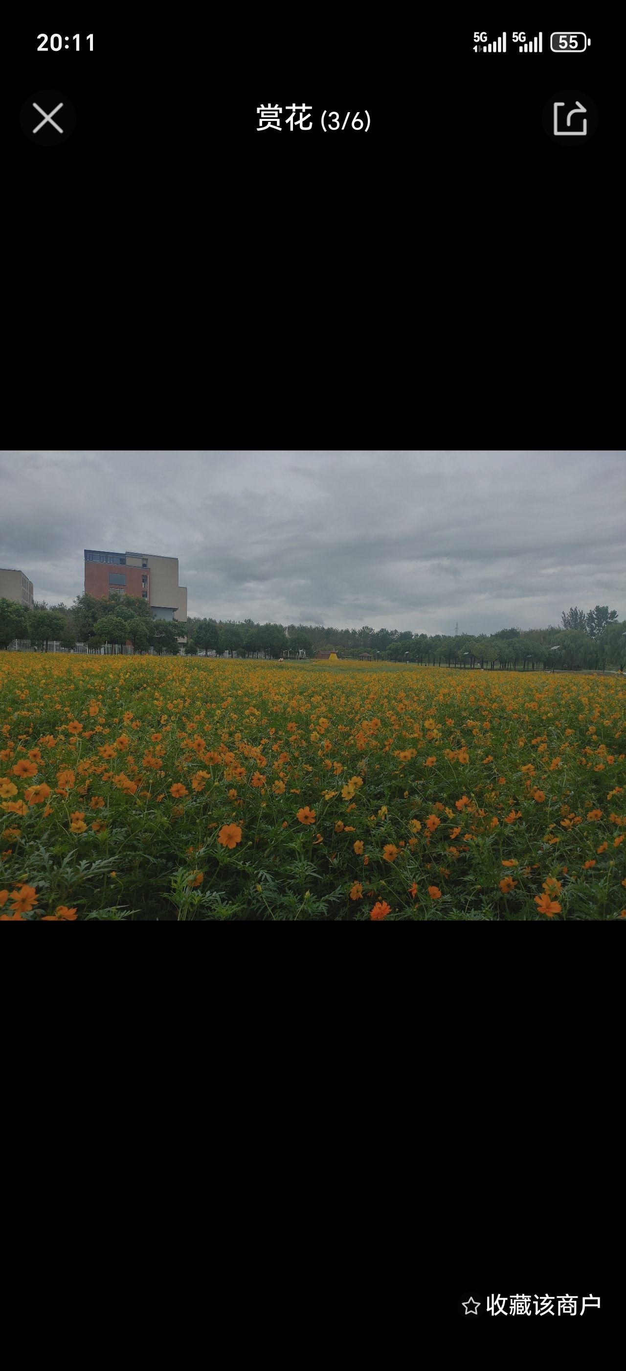 百亩花田旅行图片 3