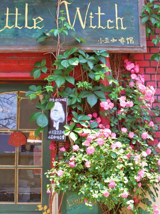 青岛网红墙旅行图片 3