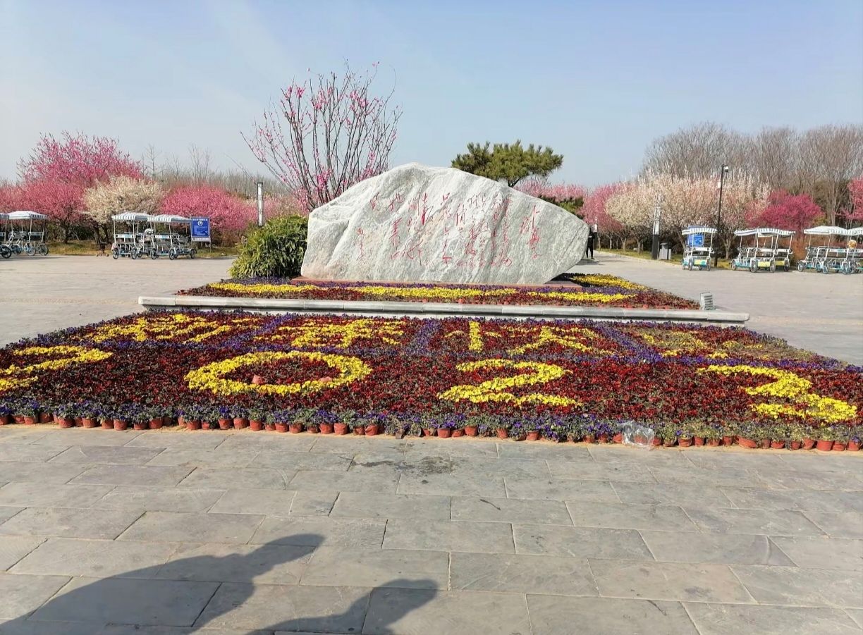 周口森林公园旅行图片 3