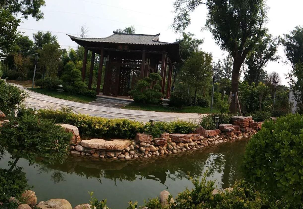 周口森林公园旅行图片 1