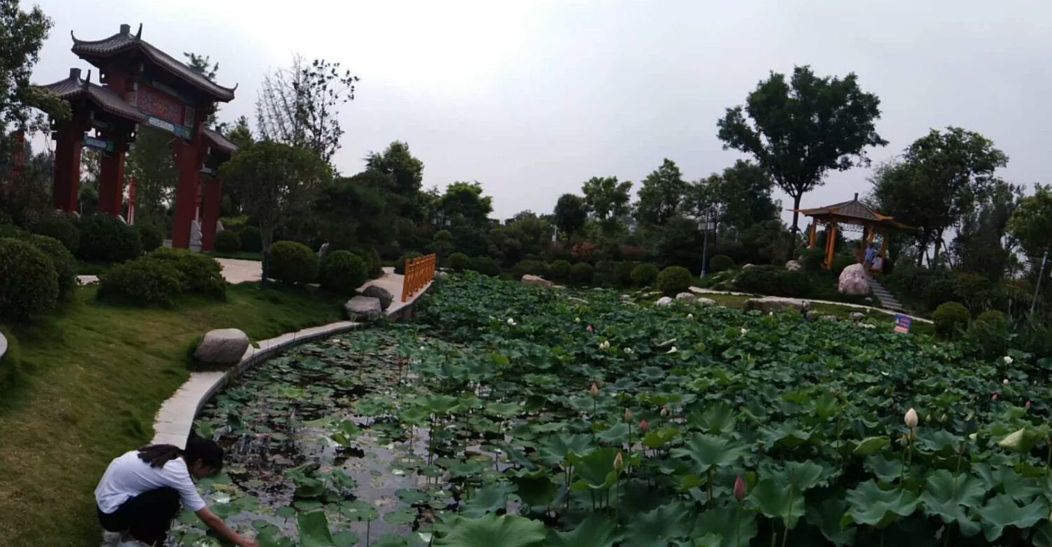 周口森林公园旅行图片 2