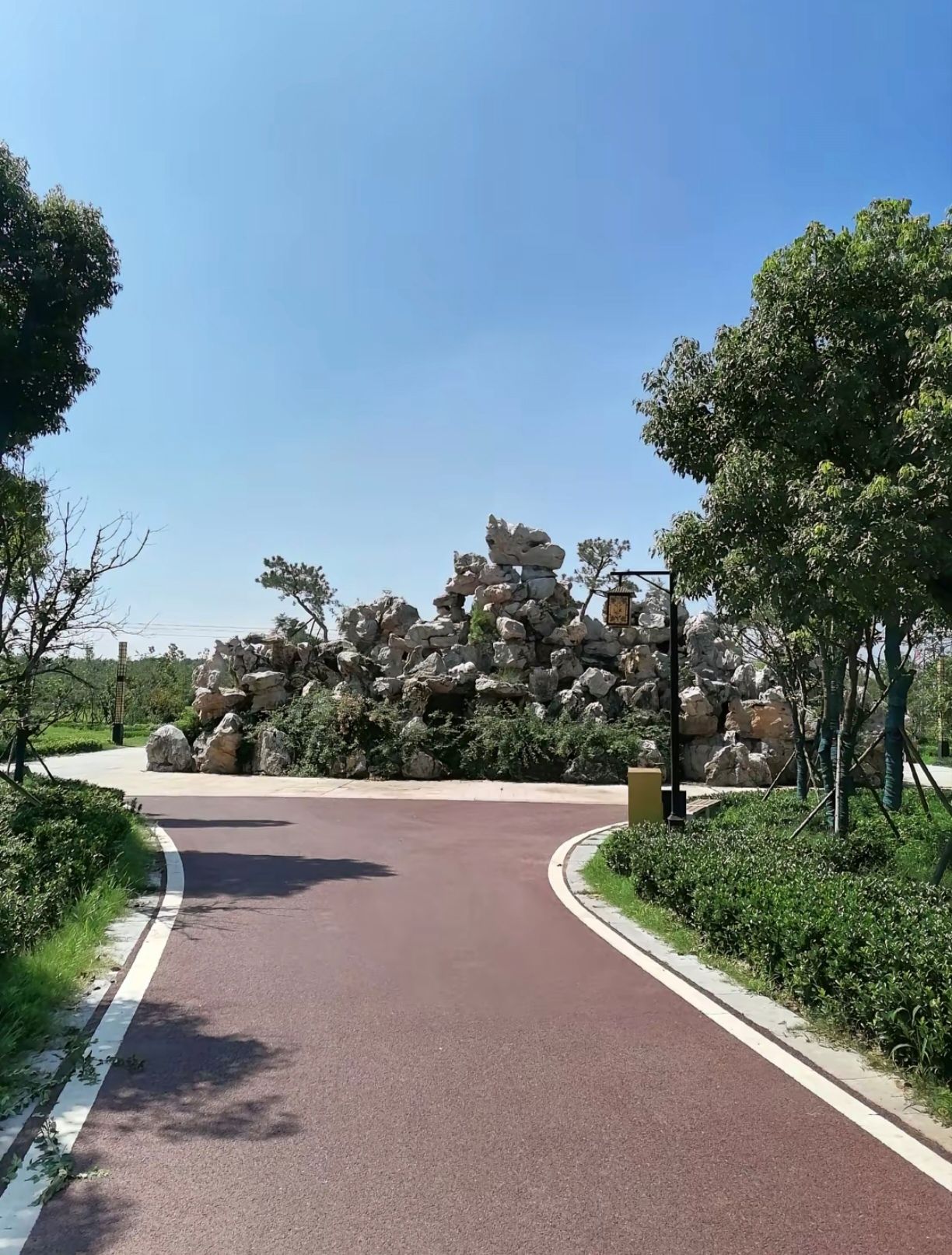 周口森林公园旅行图片 2