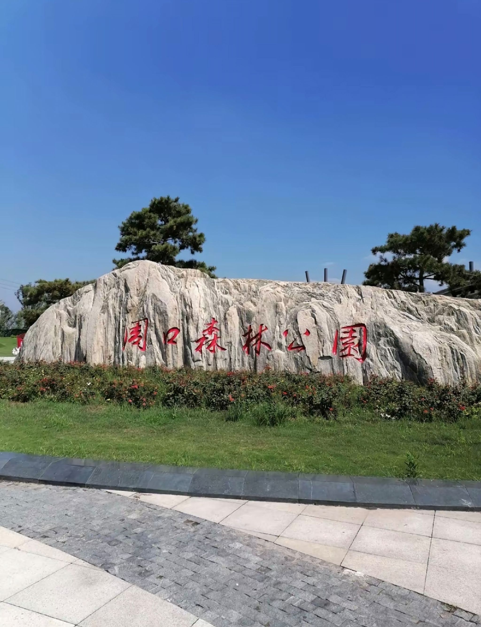 周口森林公园