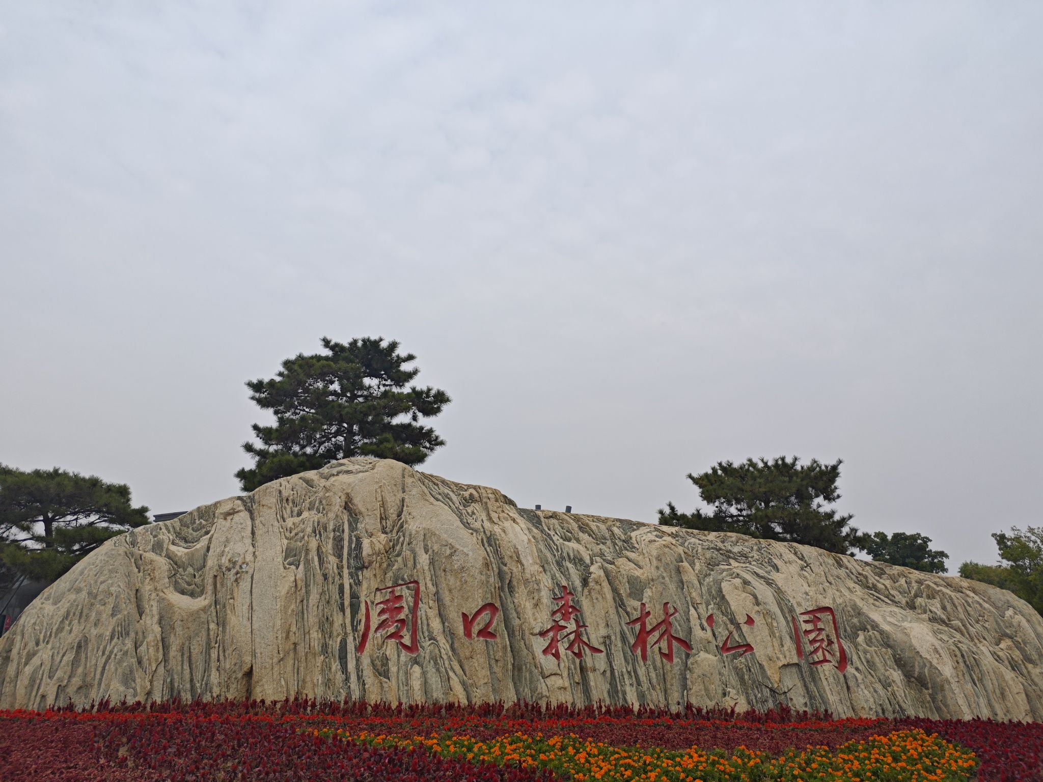 周口森林公园旅行图片 2