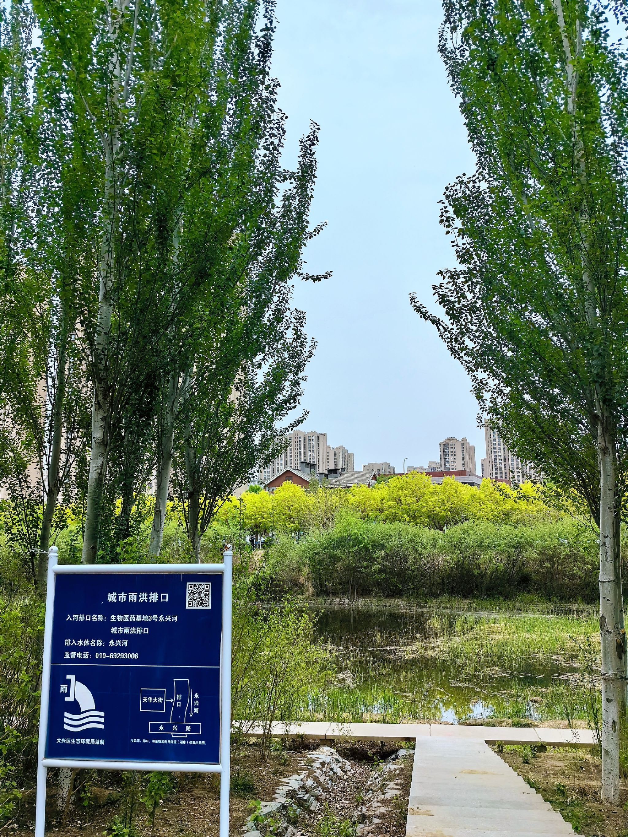 永兴河湿地公园旅行图片 2