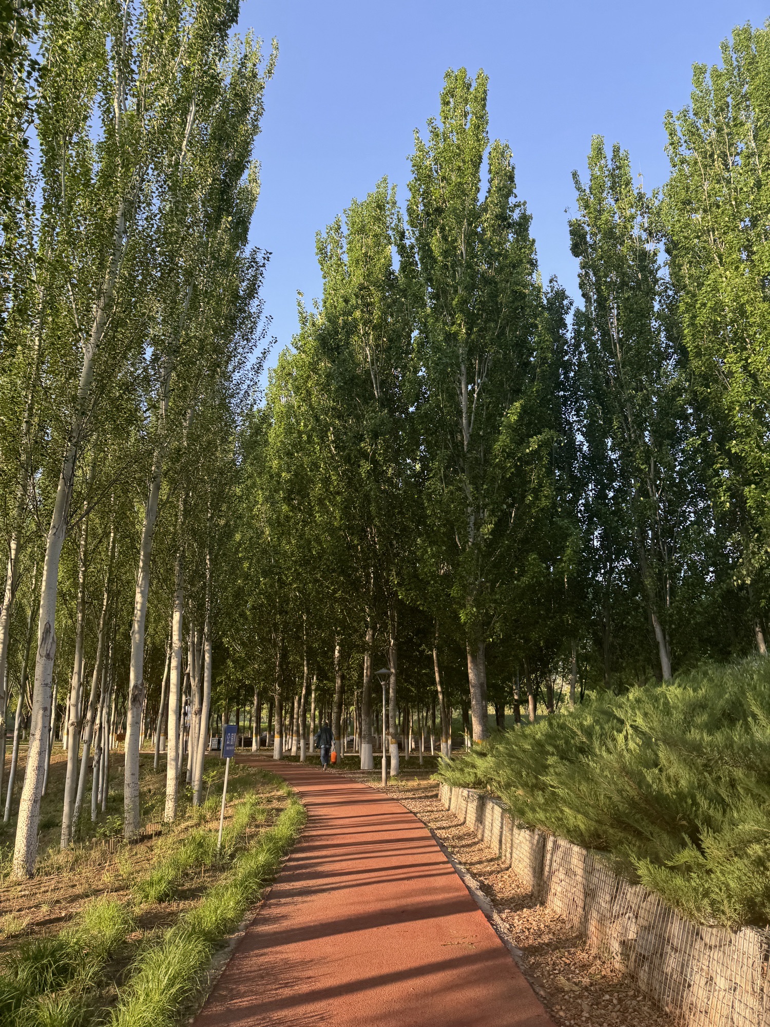 永兴河湿地公园旅行图片 2