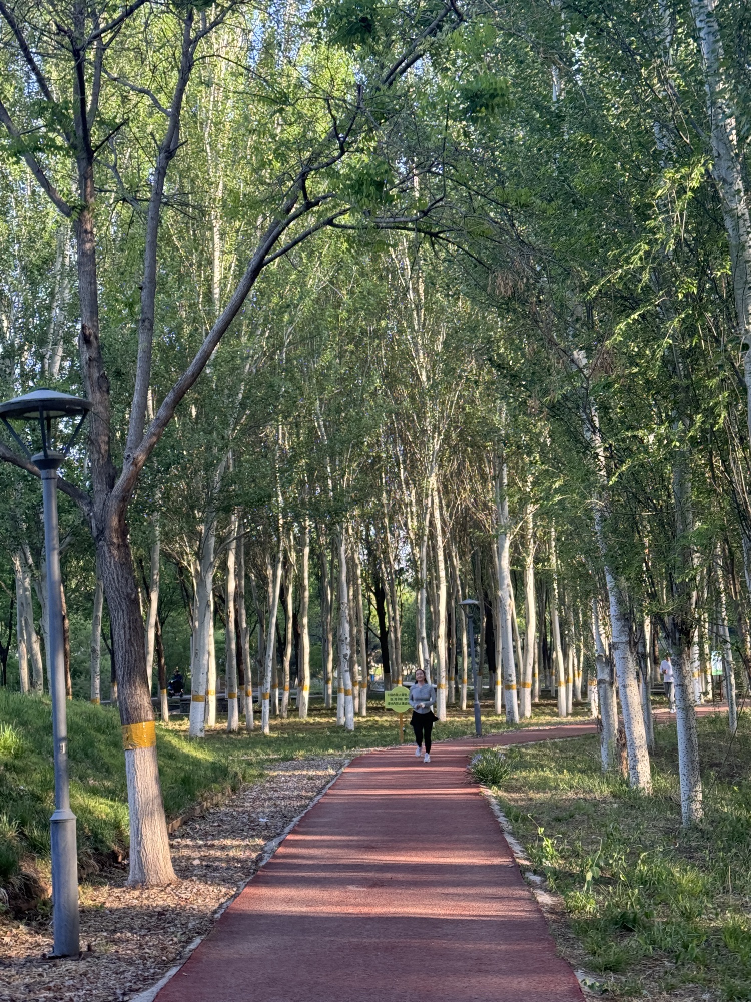 永兴河湿地公园旅行图片 3