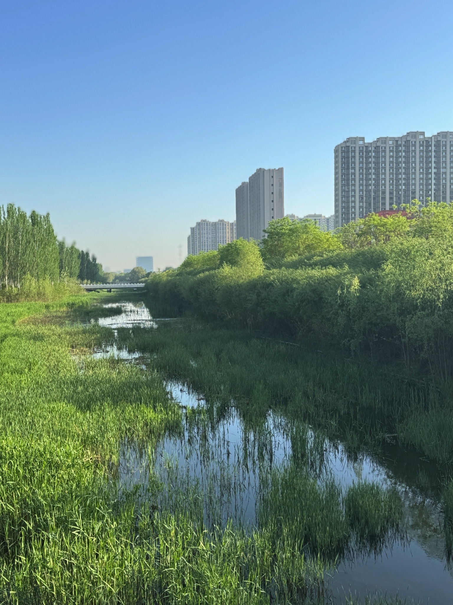 永兴河湿地公园旅行图片 1