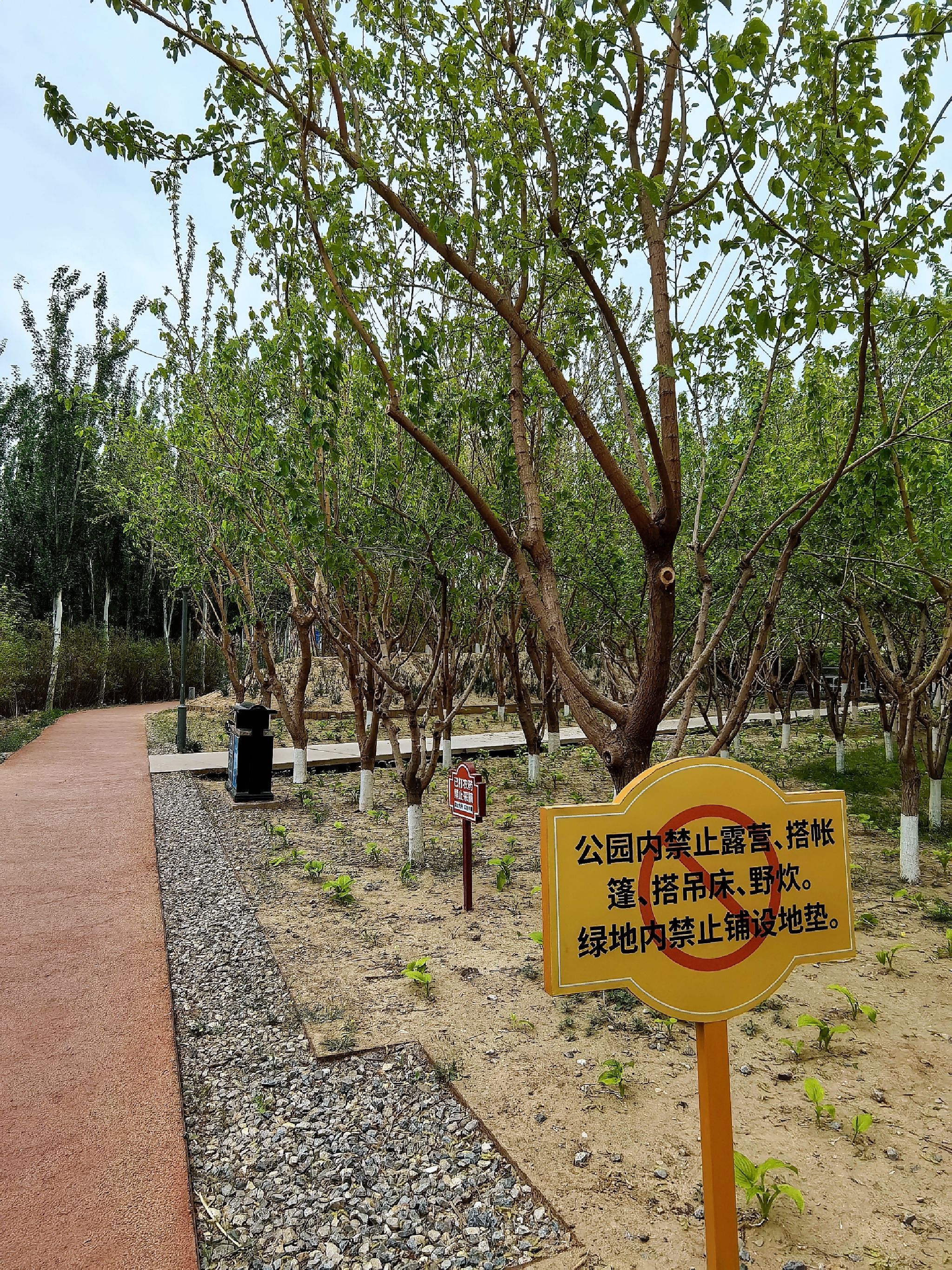 永兴河湿地公园旅行图片 3