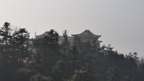 宣本院旅行图片 2