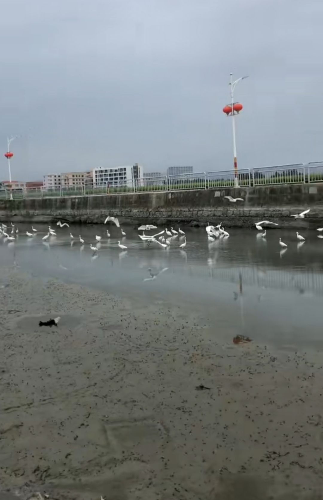 西岐文化公园旅行图片 2